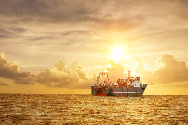 委托代理報關流程(委托代理報關流程圖片)