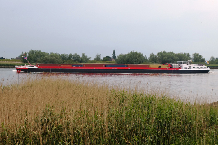 進出口貿易一般做什么的