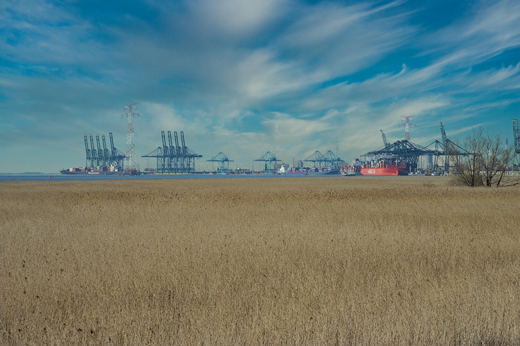 陜西一般貿(mào)易進出口