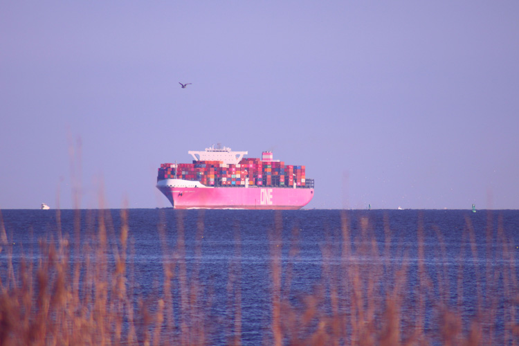 深圳小麥進口報關手續(xù) 深圳小麥進口報關手續(xù)