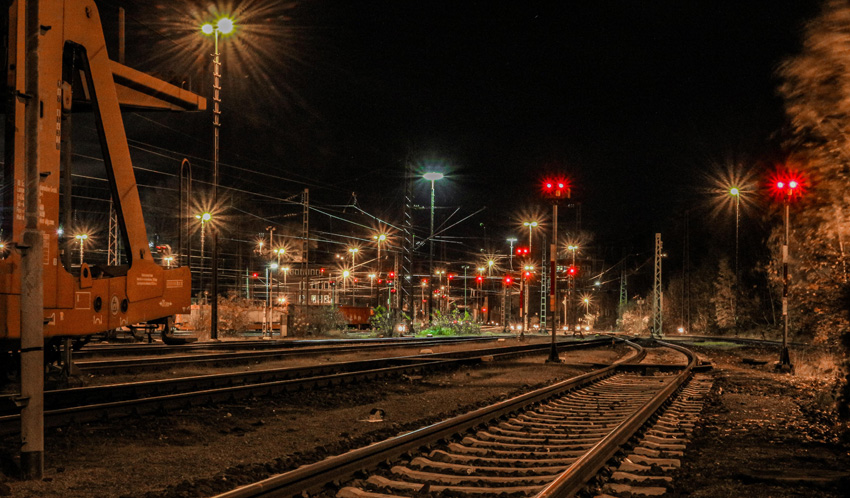 天津凍海鮮進口報關清關