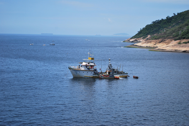 廣州一般貿(mào)易進(jìn)出口服務(wù)