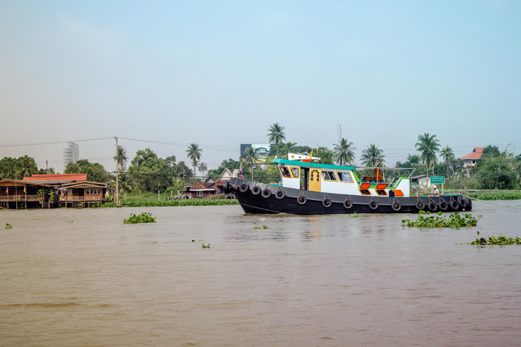 天津胡椒進口報關流程