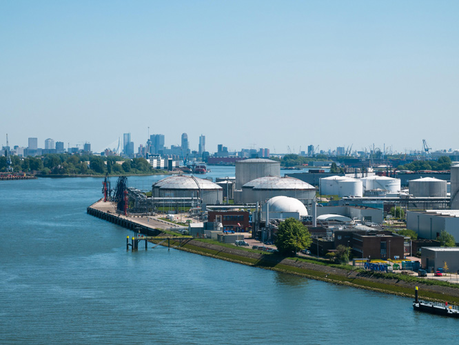 天津保健品進口報關(guān)公司