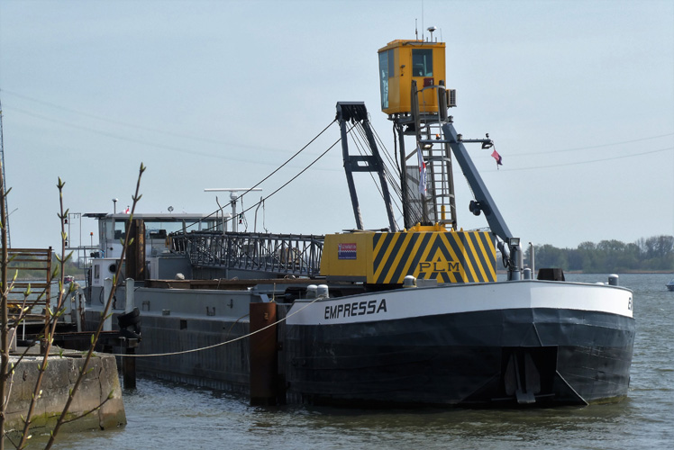 天津水果進口報關 天津水果進口報關
