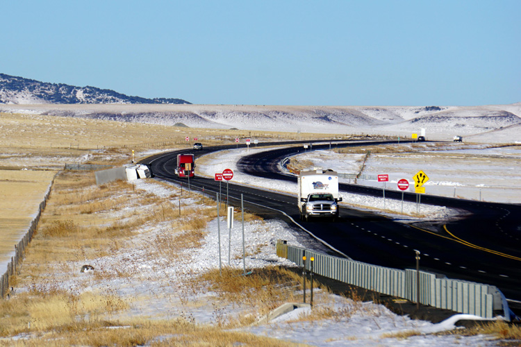 天津進口亞麻籽代理報關