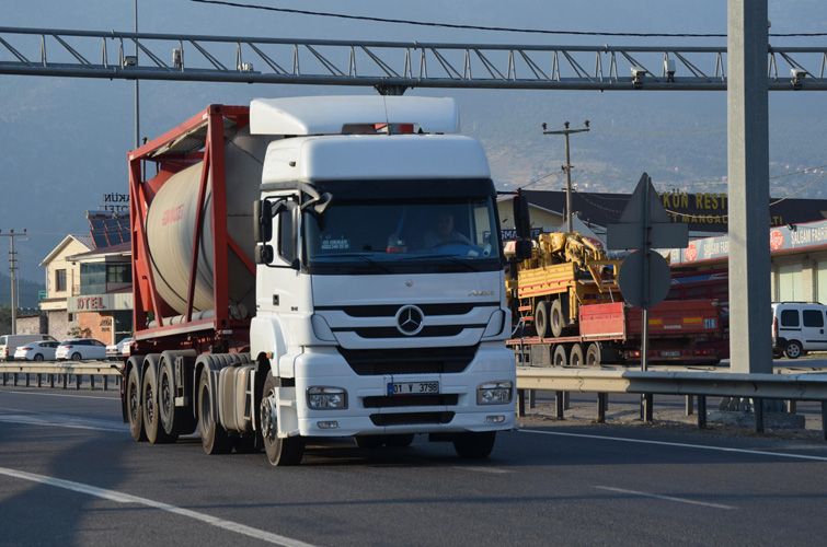 深圳進口豬槽頭報關