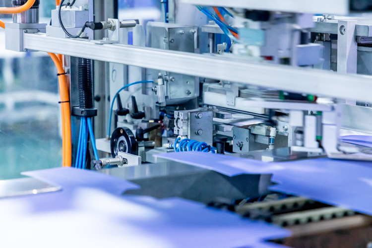 深圳牛肉進口報關行