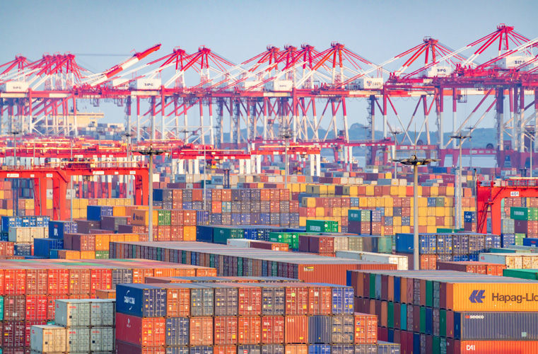 深圳港雞爪進口報關公司