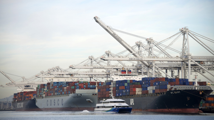 深圳國(guó)際海鮮進(jìn)口報(bào)關(guān)