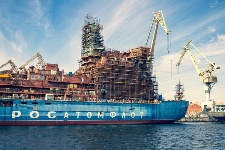 天津鴨毛進口報關怎么樣 天津鴨毛進口報關怎么樣