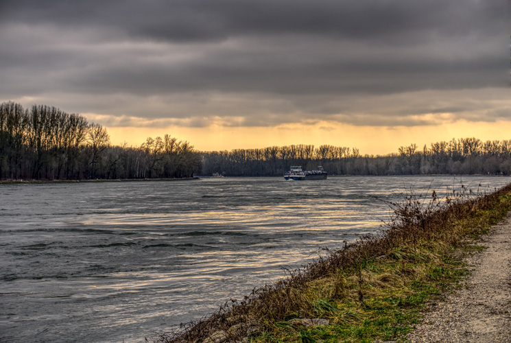 天津進口報關價格