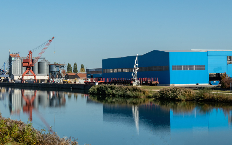 深圳靠譜的狗糧進口報關 深圳靠譜的狗糧進口報關