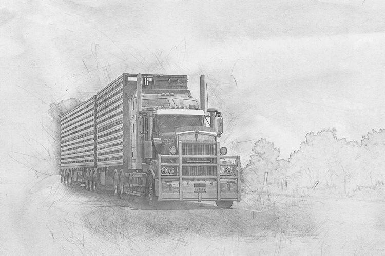 深圳港胡椒進口報關費用