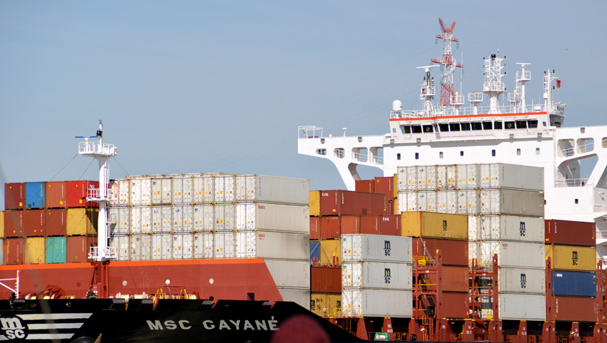 天津冷凍蝦進口報關