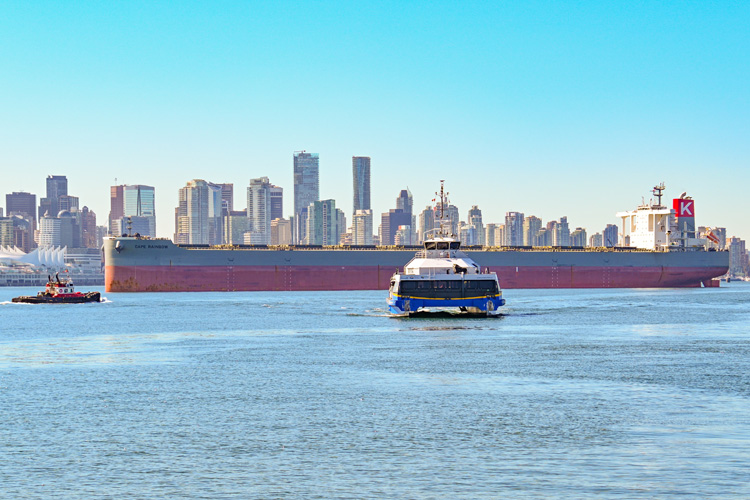 一般納稅人進出口貿易