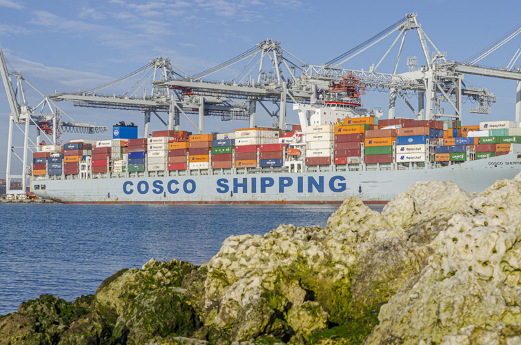 深圳鋰礦石進口報關(guān)流程