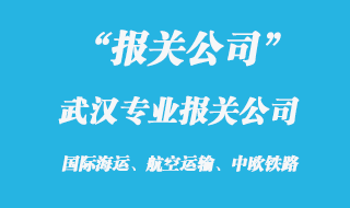 武漢專業(yè)報關公司