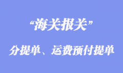 分提單、運(yùn)費(fèi)預(yù)付提單和運(yùn)費(fèi)到付提單
