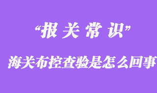 進出口清關貨物海關布控查驗是怎么回事