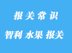 智利水果進(jìn)口報關(guān)費(fèi)用是怎樣的?